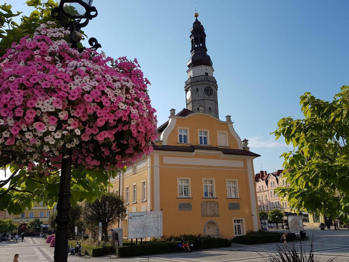 Apartament Przy Starowce - Hampton Boleslawiec  Buitenkant foto
