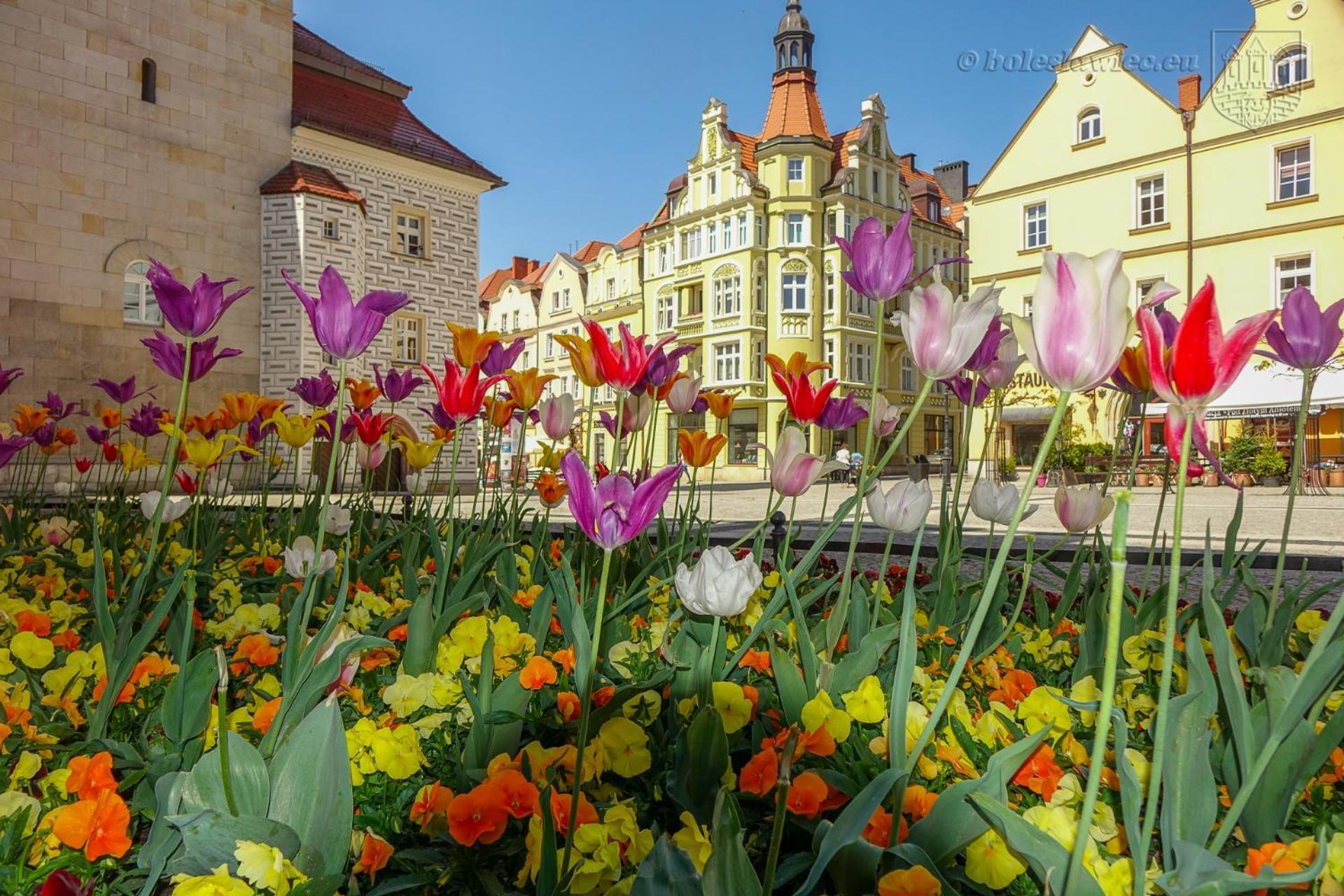 Apartament Przy Starowce - Hampton Boleslawiec  Buitenkant foto